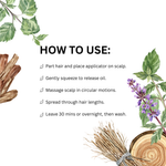 Load image into Gallery viewer, Muladhara Scalp & Root Strengthening Hair Oil