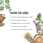 Load image into Gallery viewer, Muladhara Scalp & Root Strengthening Hair Oil - Mysuru Naturals