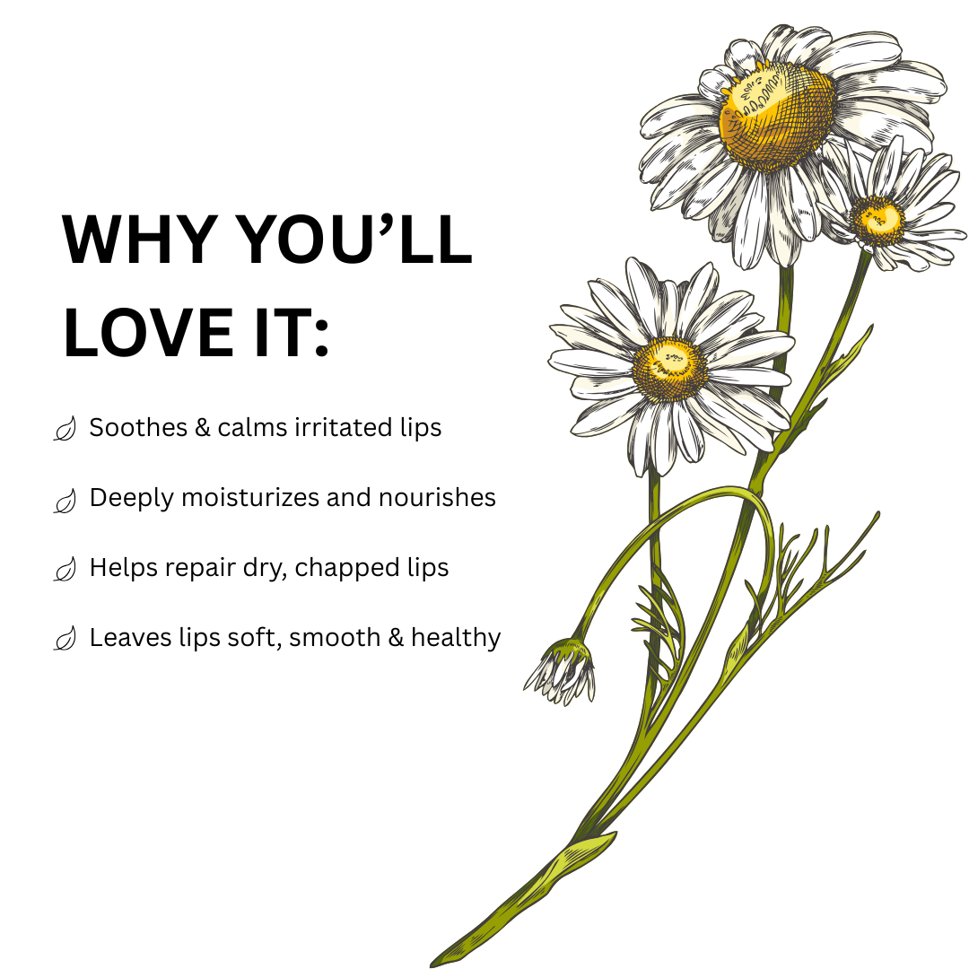 Chamomile Lip Balm - Mysuru Naturals