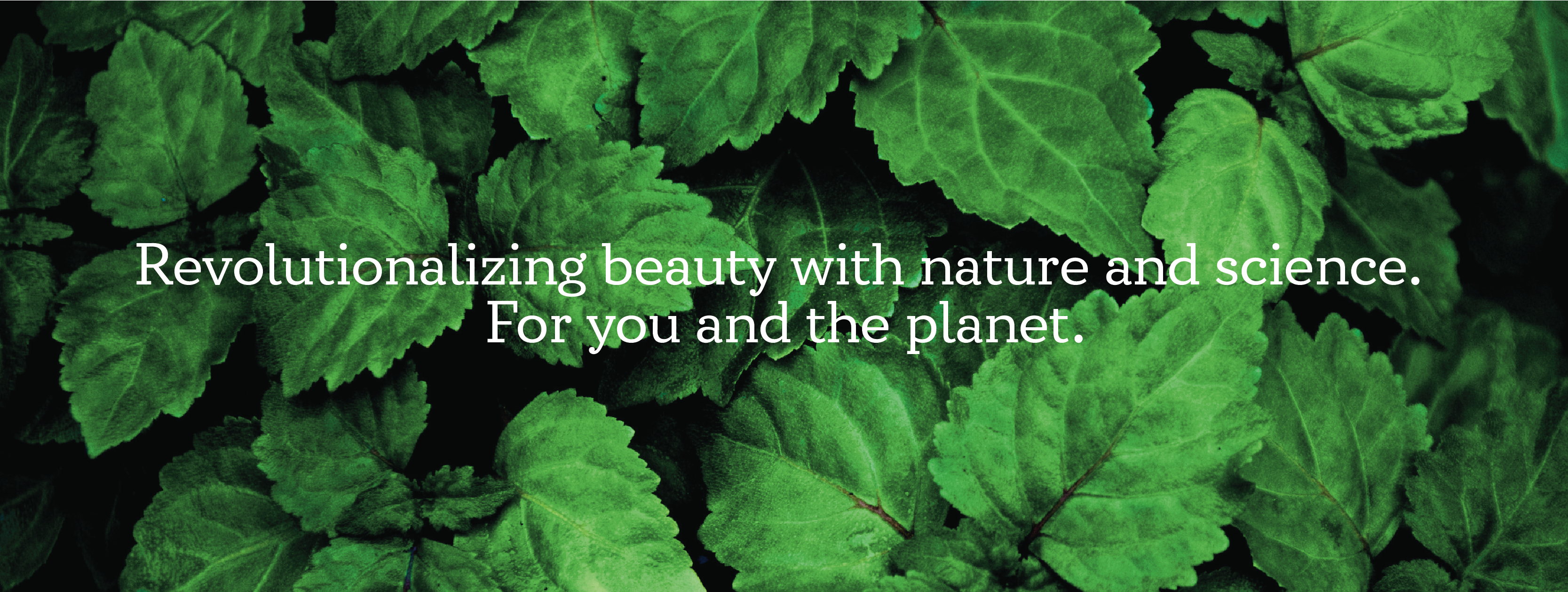 Mysuru Naturals - About Us Banner